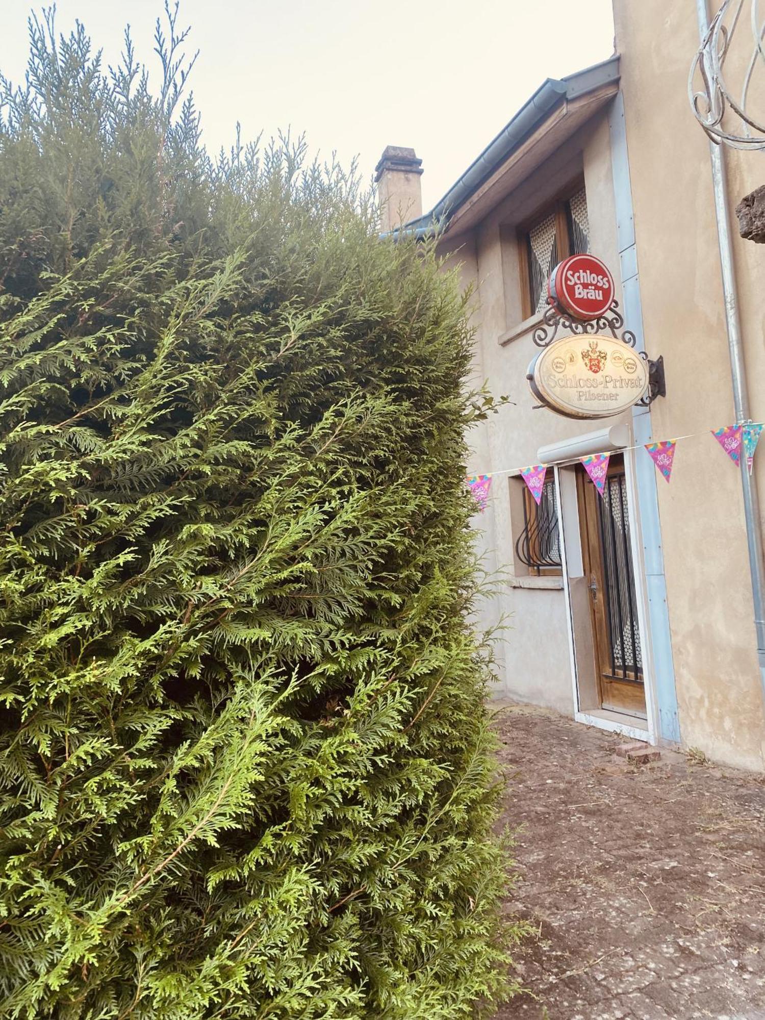 La Mariefacture - Comme A La Guinguette ! Villa Hombourg-Haut Eksteriør bilde