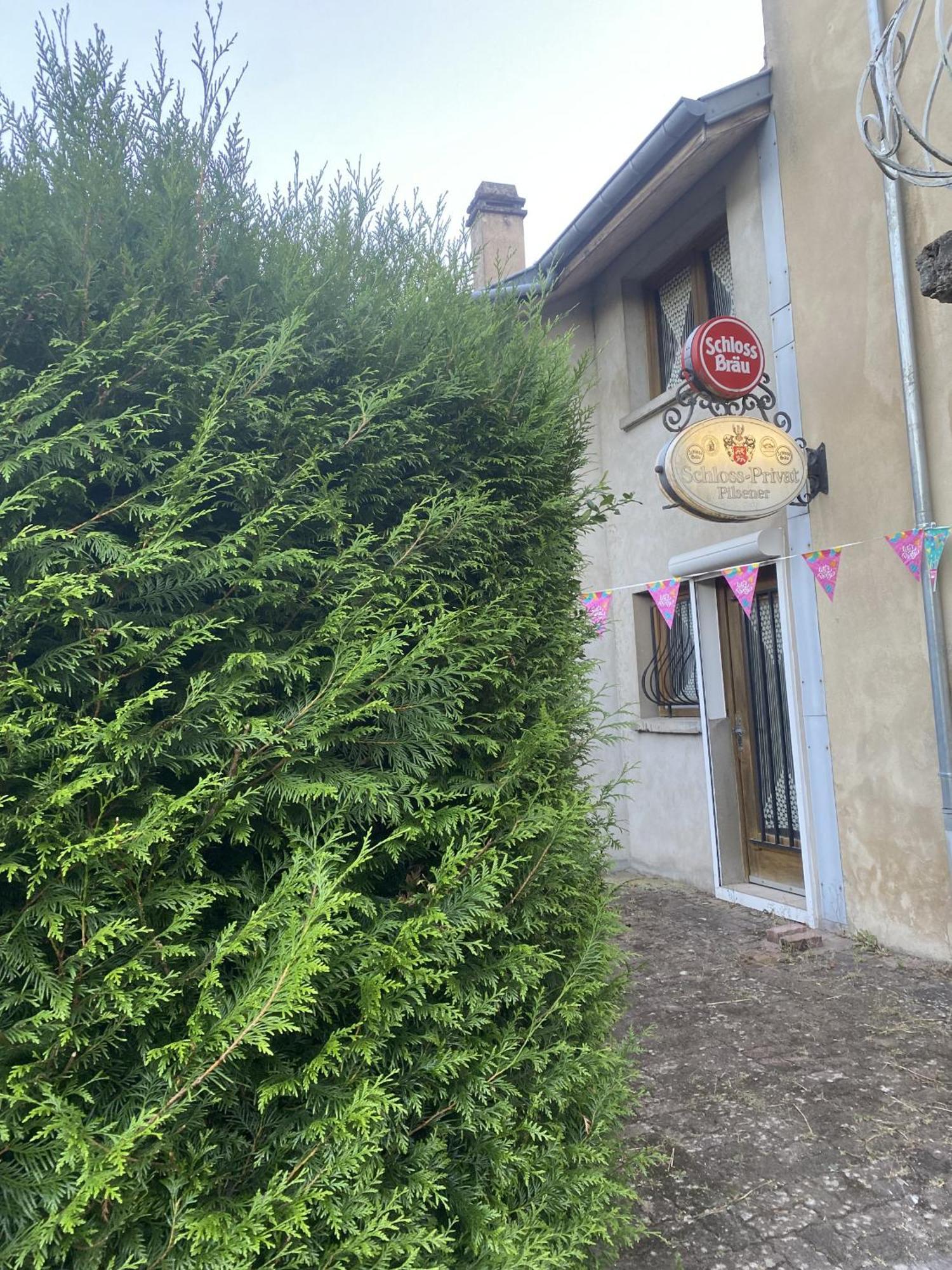 La Mariefacture - Comme A La Guinguette ! Villa Hombourg-Haut Eksteriør bilde